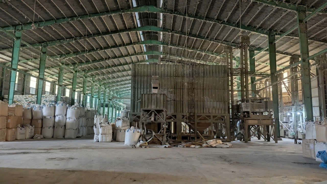 Dat Nghia Export gallery image 2