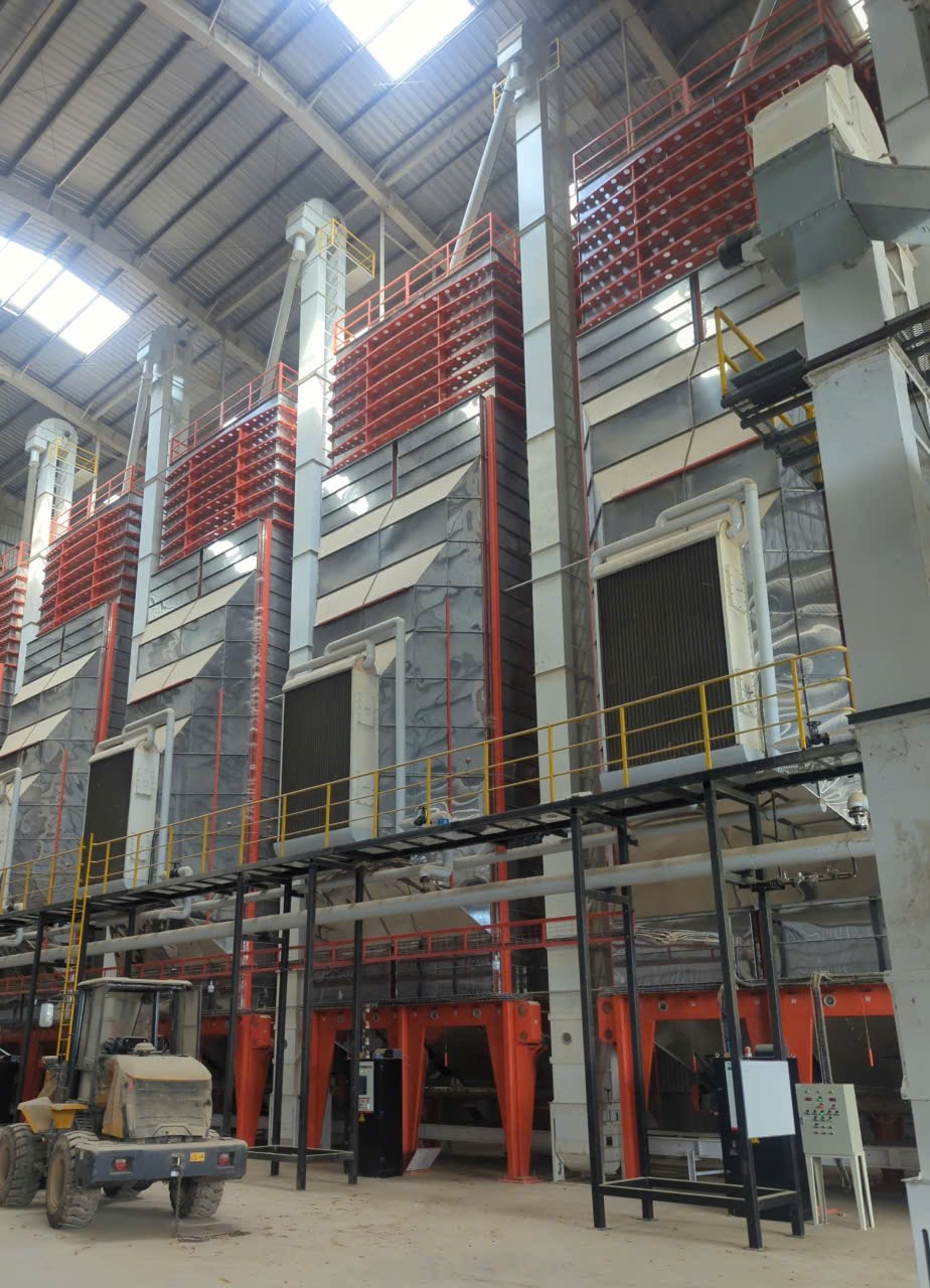 Dat Nghia Export gallery image 6